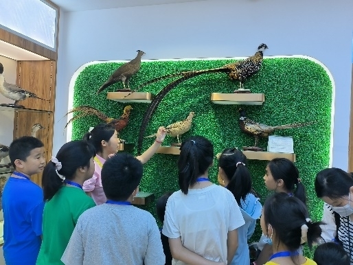 WPS图片(3.jpeg WPS图片(3.jpeg