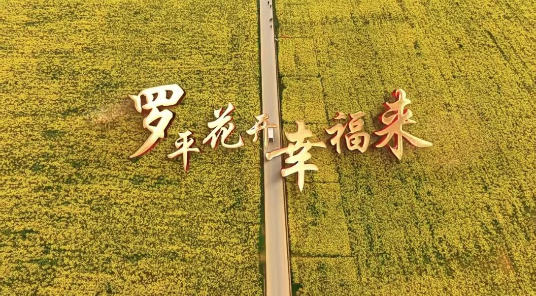 d2dae6f6cee9965831afcd12efff1be.png d2dae6f6cee9965831afcd12efff1be.png