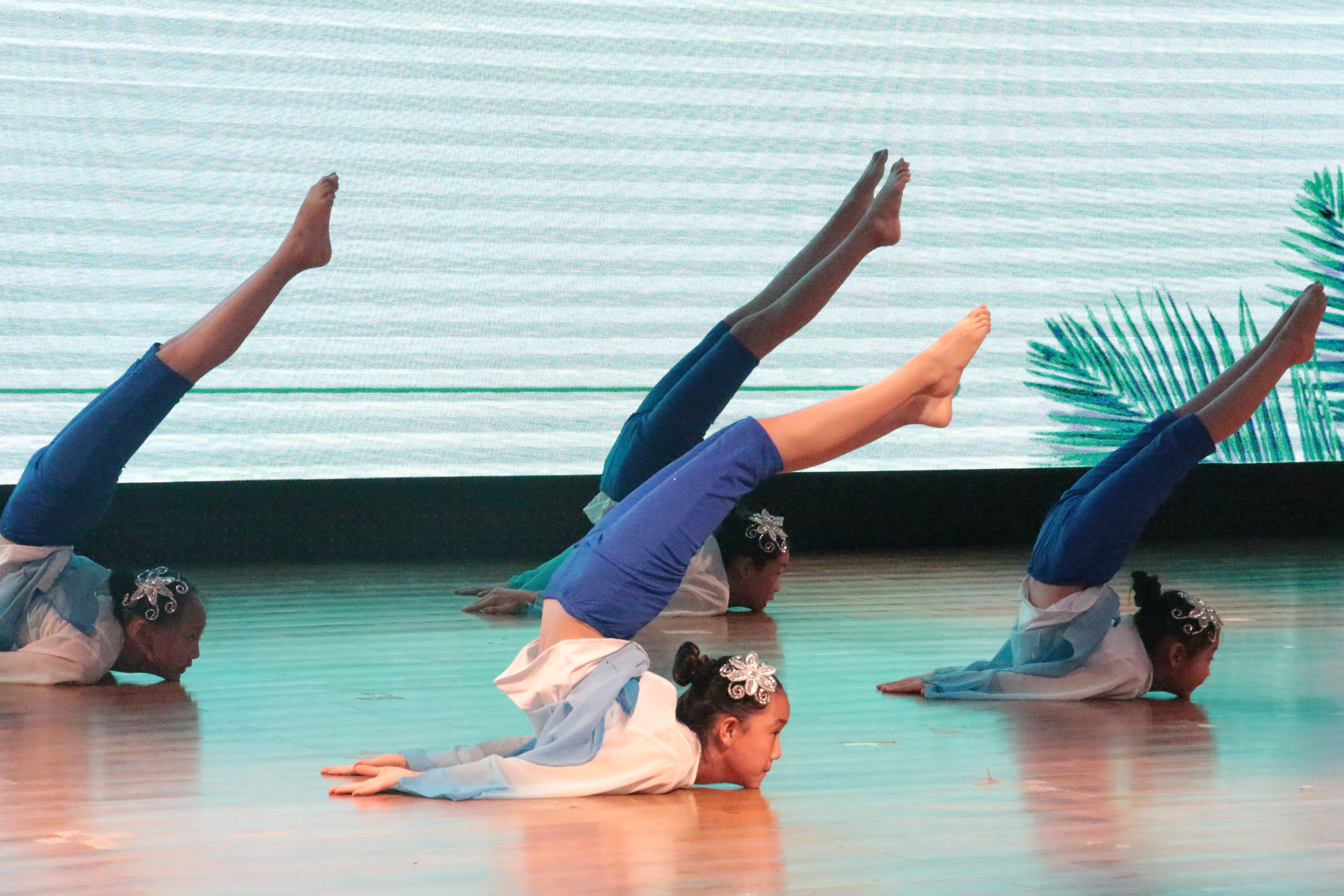 IMG_0930.JPG IMG_0930.JPG